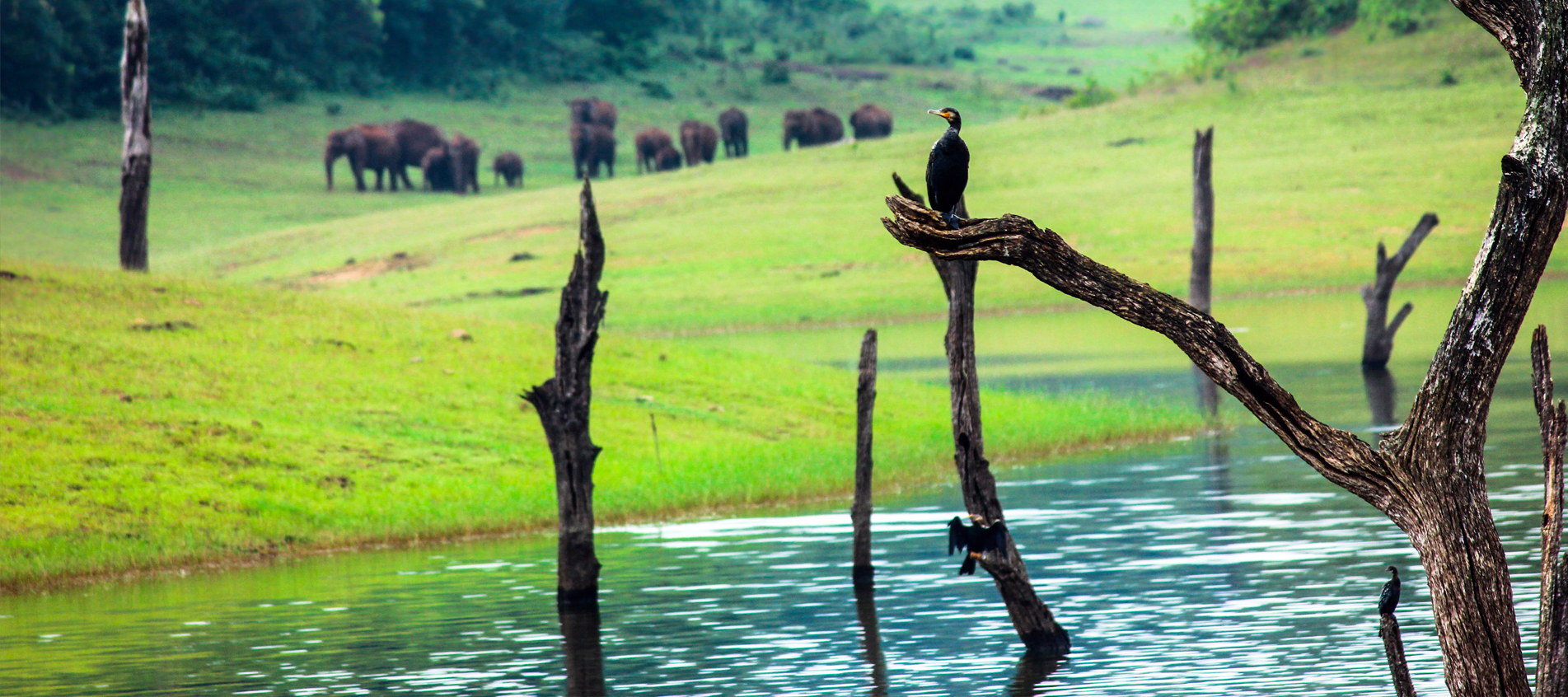 Grand Tour of Kerala